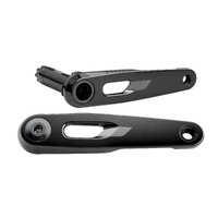 SRAM Rival E1 DUB Crank Arm Assembly