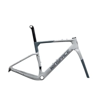 Winspace G3 Gravel Frameset - Lunar Grey