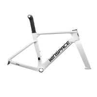 Winspace M6 Aero Carbon Frameset - Chameleon White
