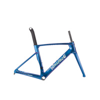 Winspace T1550 2nd Gen Disc Brake Frameset - Retro Blue
