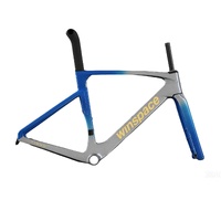 Winspace T1600 Aero Disc Brake Frameset - Electroplated AquaSilver