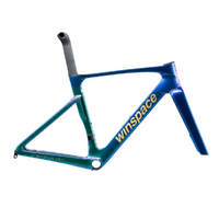 Winspace T1600 Ultra Aero Disc Brake Frameset - Nebula Green