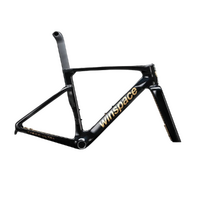 Winspace T1600 Ultra Aero Disc Brake Frameset - Obsidian Gold